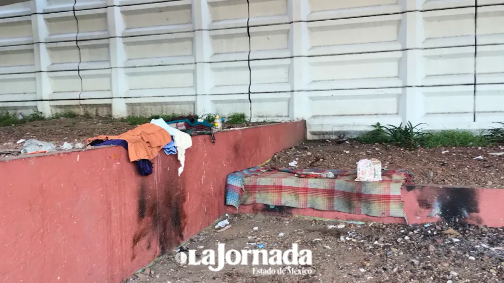 Pondrán guapos bajo puentes de Paseo Tollocan en Toluca