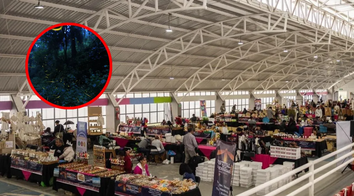 Edomex listo para el Festival Internacional de las Luciérnagas 2025