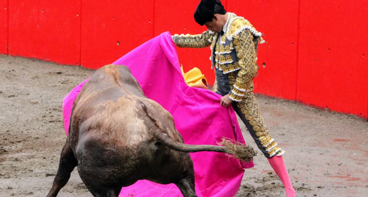 Fiesta taurina, sin corte de orejas, pero con arte y entrega