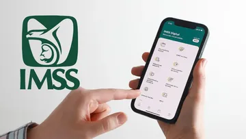 ¿Cómo tramitar la constancia de semanas cotizadas en el IMSS?