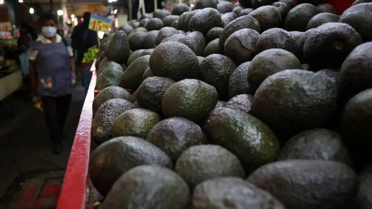 Aguacate mexiquense, protagonista del Super Bowl en México