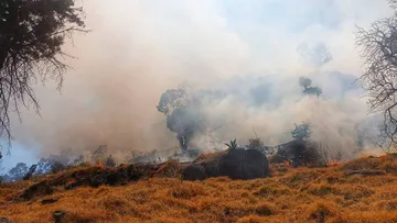 Incendio en el cerro de El Toloche en Toluca