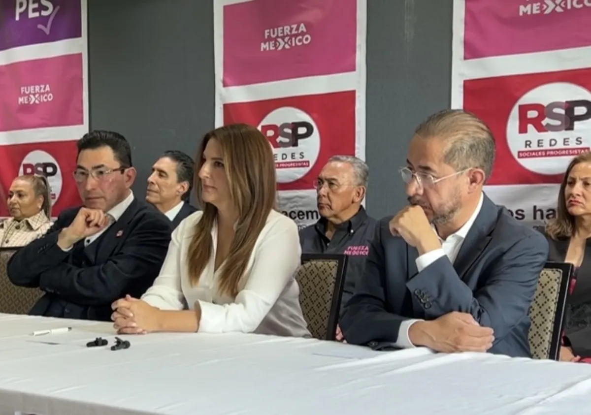 “Chiquillada” buscará representatividad en gobiernos