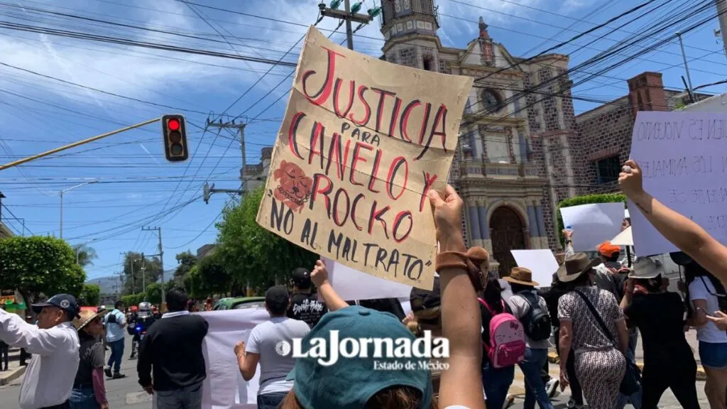 Colectivos protestan en Texcoco por asesinato de perritos Canelo y Rocko