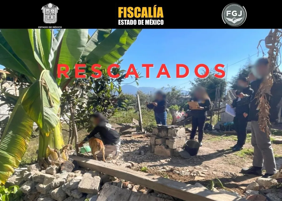 De acuerdo con la valoración de personal veterinario, los perros presentaban signos de desnutrición y maltrato.