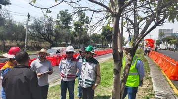 Arranca construcción del Mexibús Línea V Lechería-El Rosario