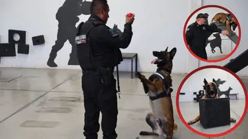 Perros policía refuerzan operativos en escuelas y transporte público de Ecatepec