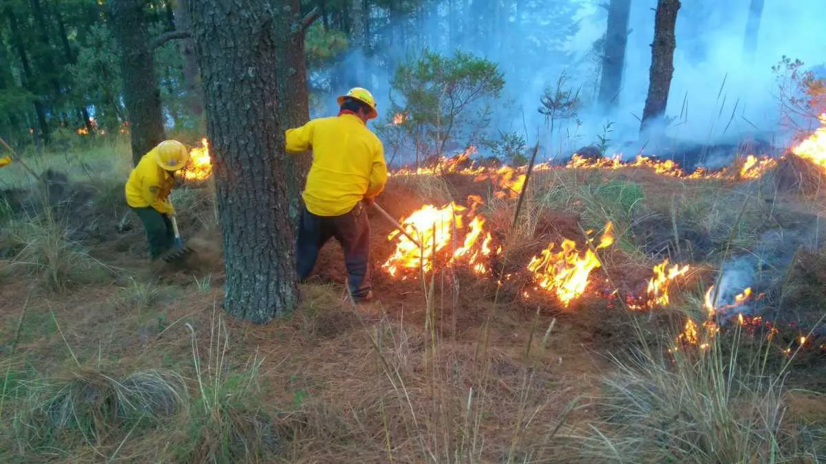 Edomex reporta 55 incendios forestales en 2026