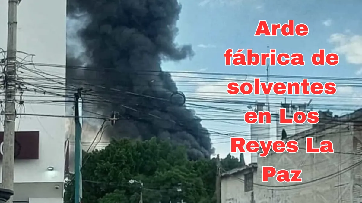 Arde fábrica de solventes en Los Reyes La Paz [VIDEO]