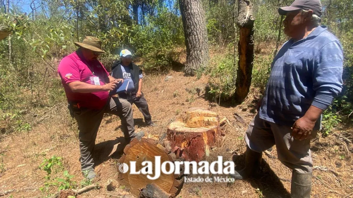 PROFEPA inspecciona Saneamiento Forestal en Chalco tras presuntas irregularidades