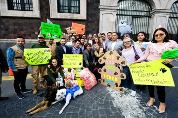 Delfina Gómez pide apoyo para mascotas afectadas en Guerrero