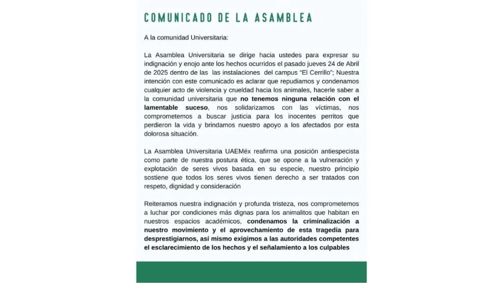 Envenenamiento de perros en Facultad de Veterinaria indigna a la comunidad