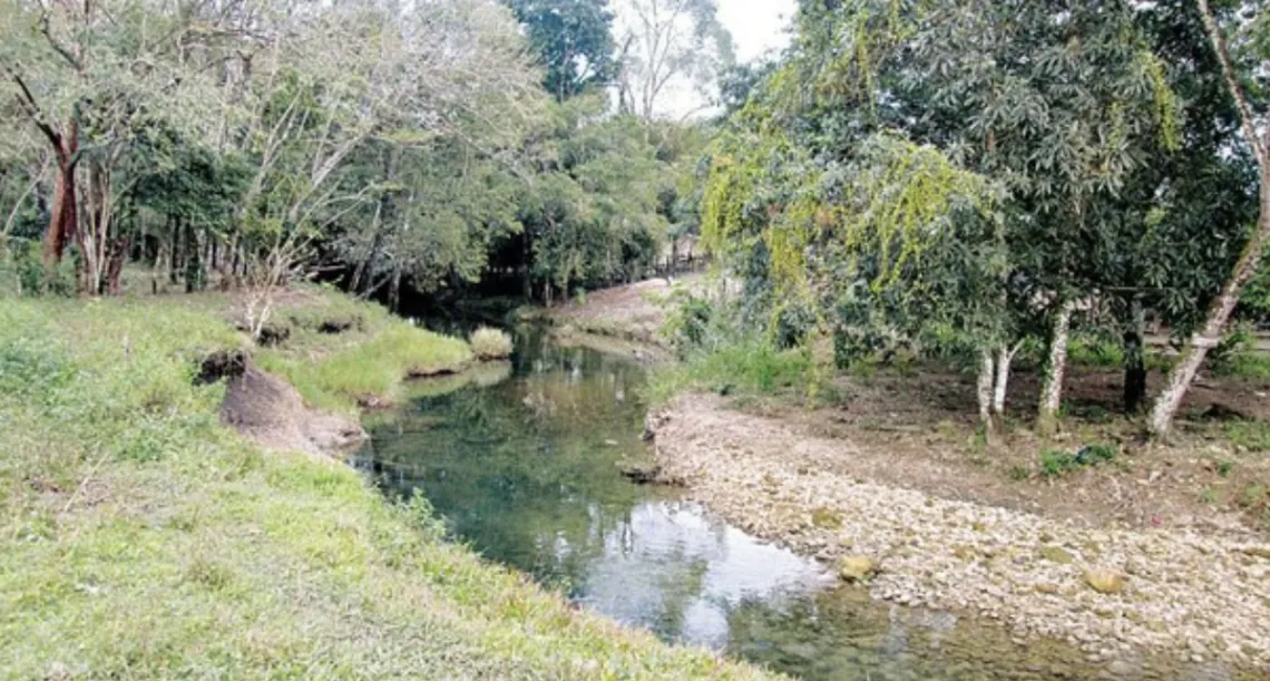 El río y el Jaguar; ¿Qué nos marca, hermano mío manchado de volcánica lava?