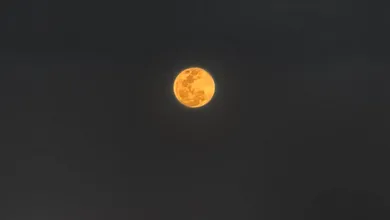 La Universidad Nacional Autónoma de México realizó una transmisión en vivo del eclipse a través de su página en Facebook.