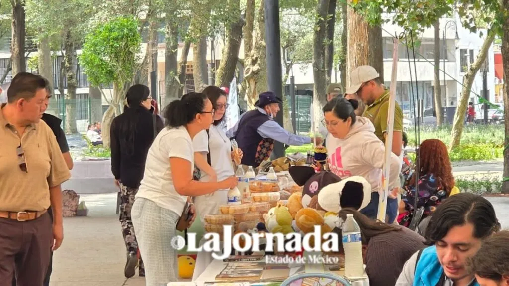Toluca realiza Feria del Bienestar Integral