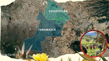 Emprenden restauración ecológica en Cocotitlán y Temamatla