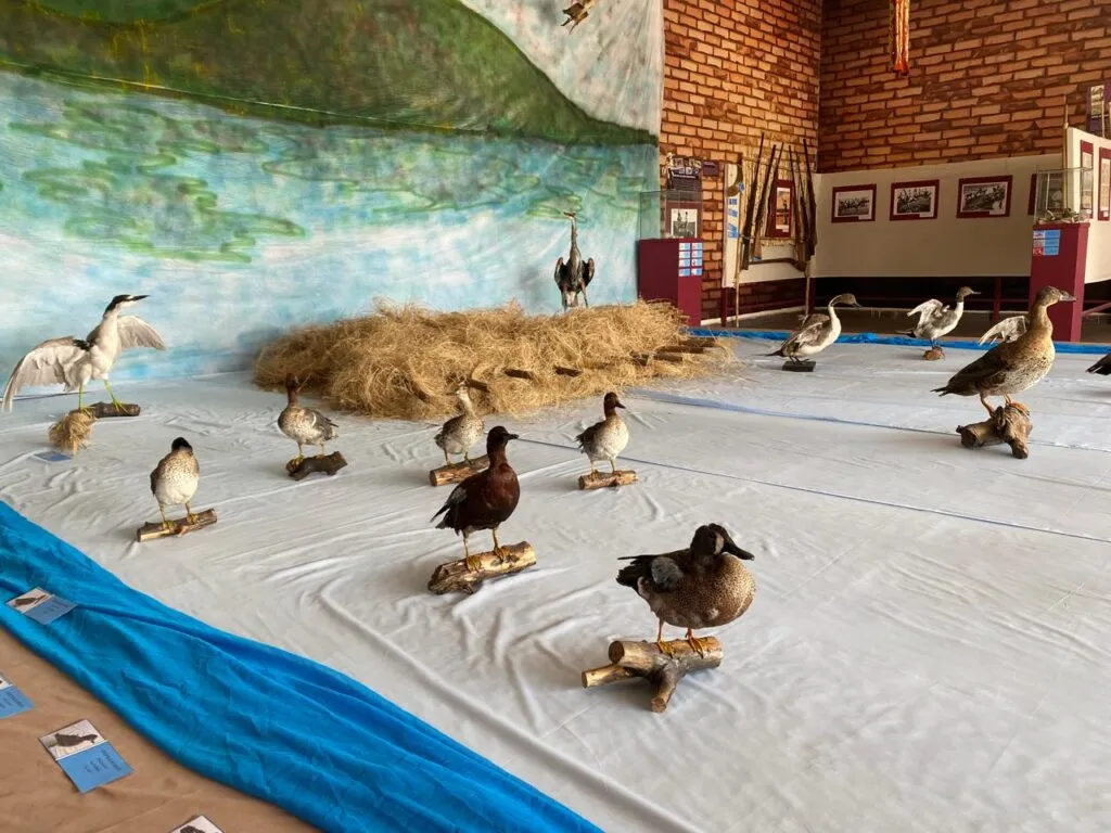 Exposición en Chimalhuacán: Rescatan la memoria lacustre del Lago de Texcoco