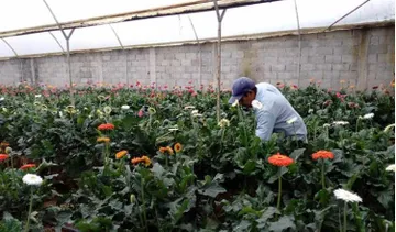 Aumenta inseguridad en el sur del estado derivado de perdida de empleos
