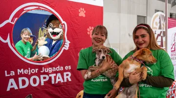 La Mejor Jugada es Adoptar: lomitos encuentran hogar en el Estadio Nemesio Díez