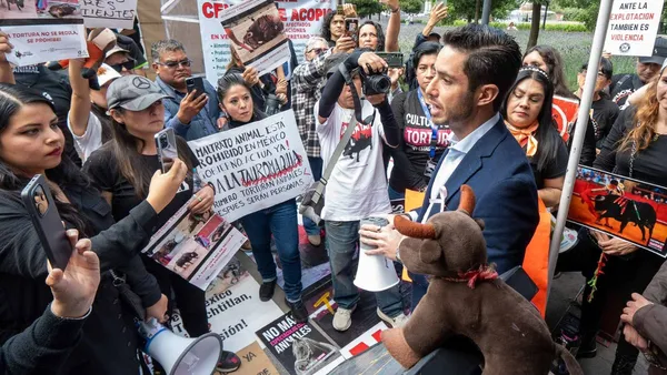 PVEM promete impulsar iniciativa que prohíbe corridas de toros en Edomex