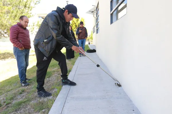 Hasta el momento no se han registrado ningún ataque de reptil o arácnido en la institución.