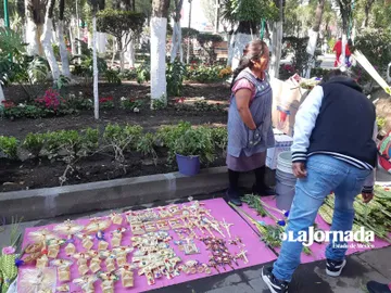 (Video) Esperan comerciantes en Tlalnepantla que mejore la venta de palmas este año