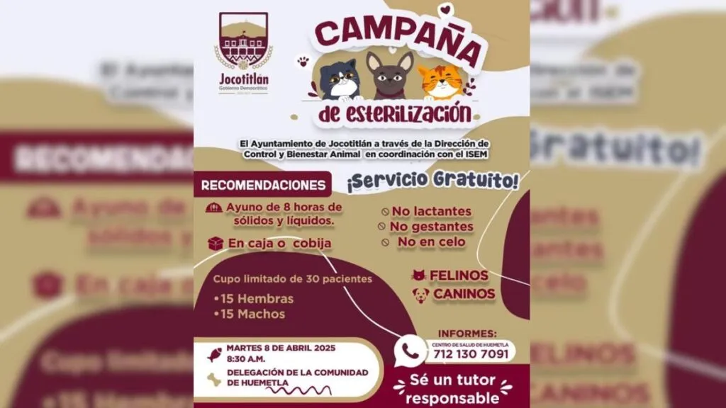 Jocotitlán tendrá campaña de esterilización gratis