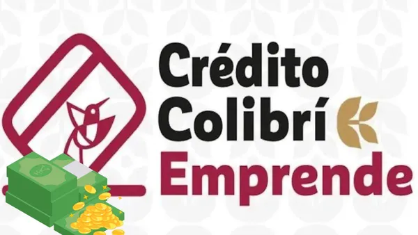 Crédito Colibrí Edomex da hasta 100 mil pesos por integrante; se ampliará en 2026