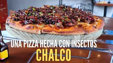 Pizza con HORMIGAS, GUSANOS y CHAPULINES ¡La pizza de insectos de CHALCO!