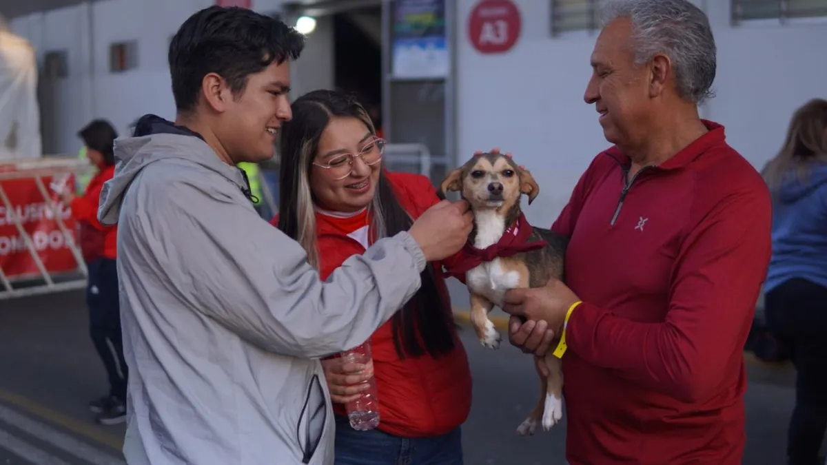 Cepanaf pide no regalar animales en Navidad