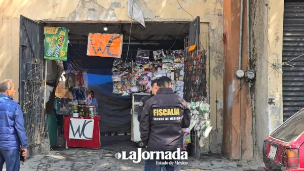 Rescatan a perros criados para peleas clandestinas en el centro de Toluca
