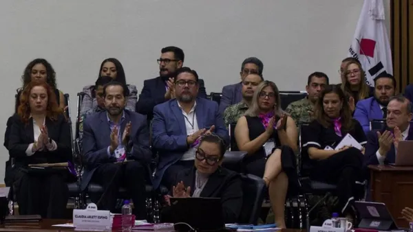 Para algunos consejeros como Carla Humphrey y Jaime Rivera fue considerado como extraño y pidieron a la presidenta Guadalupe Taddei una explicación.