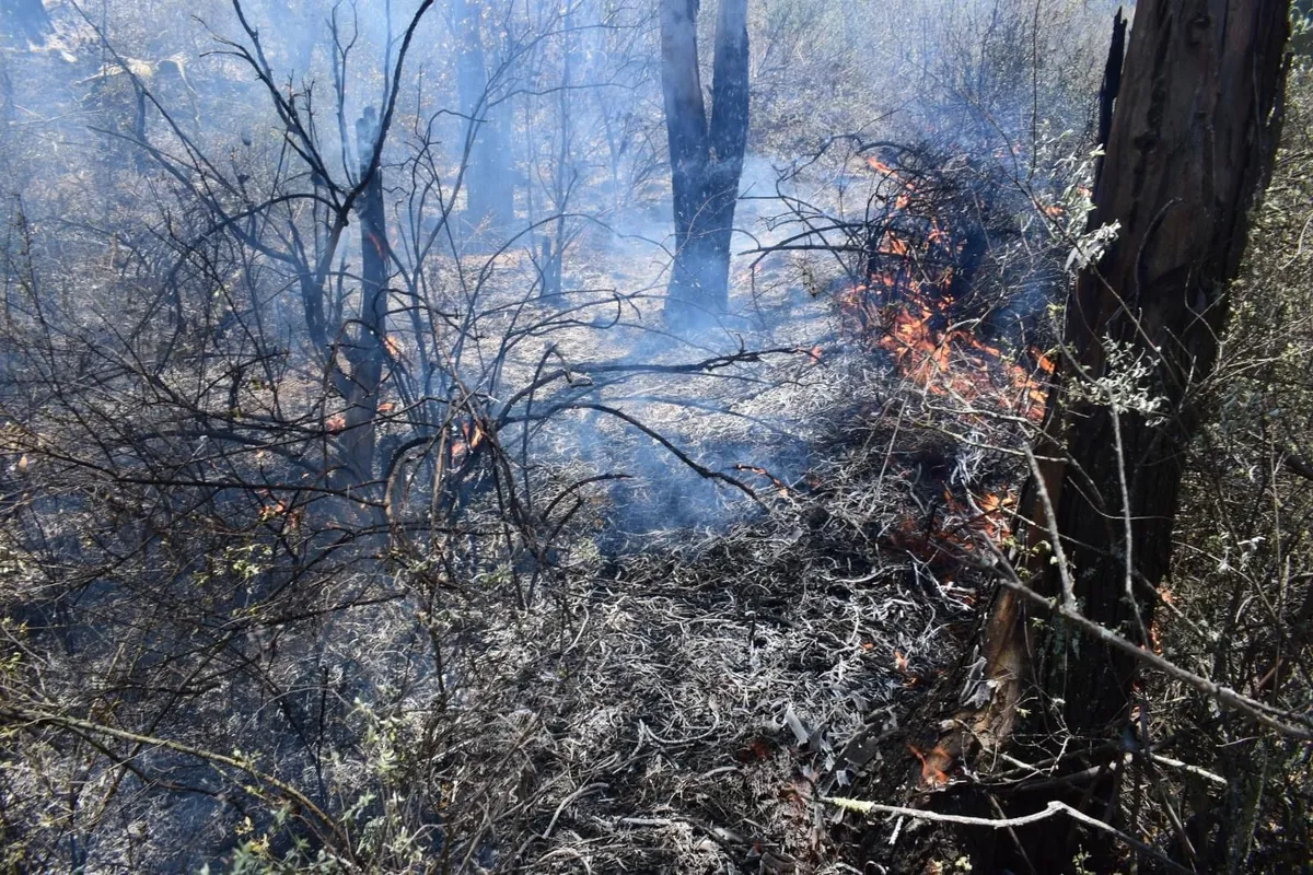 Reportan segundo incendio en parque estatal de Cerro Gordo