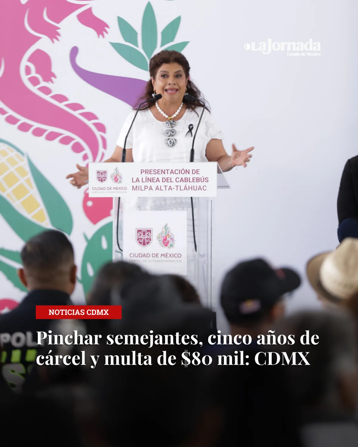 Pinchar semejantes, cinco años de cárcel y multa de $80 mil: CDMX