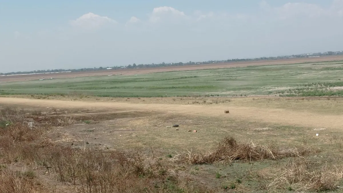 Reportan severa sequía en la Laguna de Zumpango