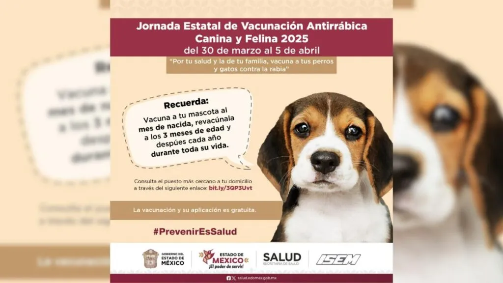 Edomex inicia campaña de vacunación antirrábica gratis