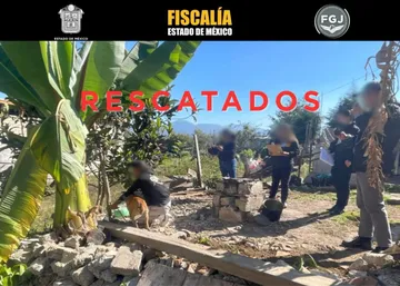 De acuerdo con la valoración de personal veterinario, los perros presentaban signos de desnutrición y maltrato.