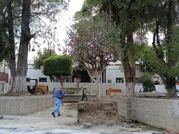 Denuncian nuevo intento de ecocidio en Chimalhuacán
