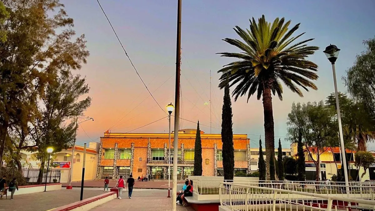 Se enferman 66 árboles del parque de La Soledad en Tecámac