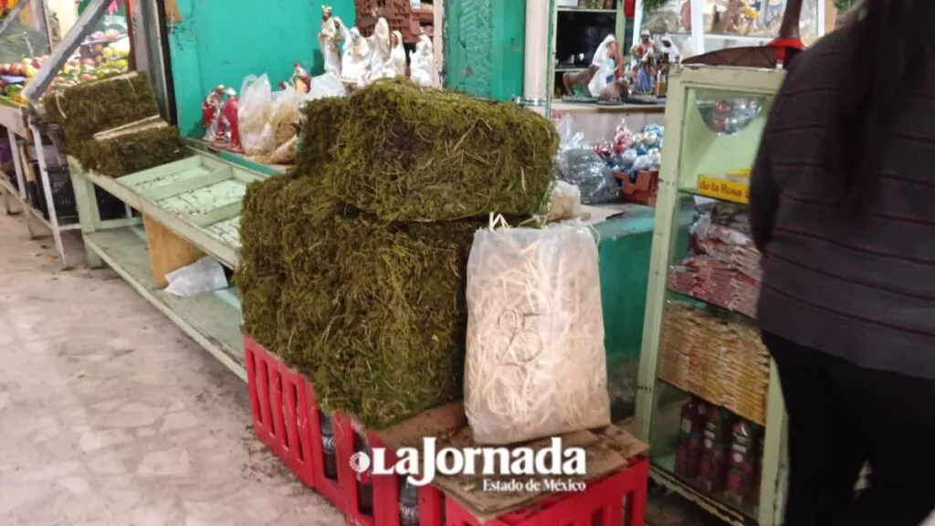 Venta de musgo y heno prevalece en mercados y tianguis del Edomex
