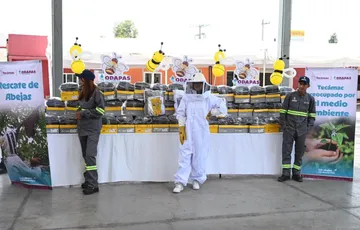 Tecámac equipa a rescatistas de abejas tras registrar 138 rescates en 2026