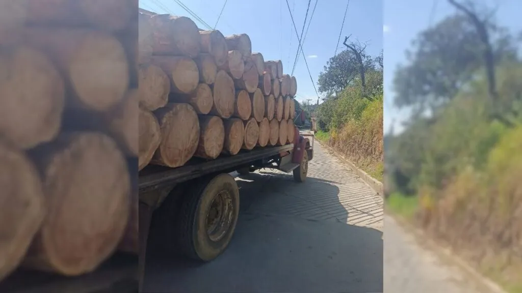 Vecinos retienen camiones con madera en Texcoco