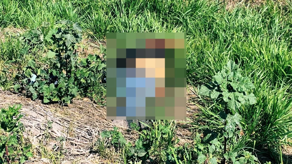 Hallan hombre sin vida en la México-Pirámides
