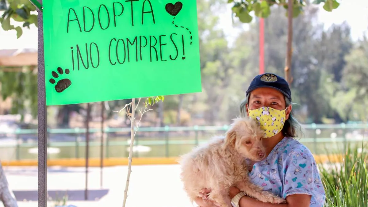 Día mundial del perro: impulsan adopción en municipios del Edomex