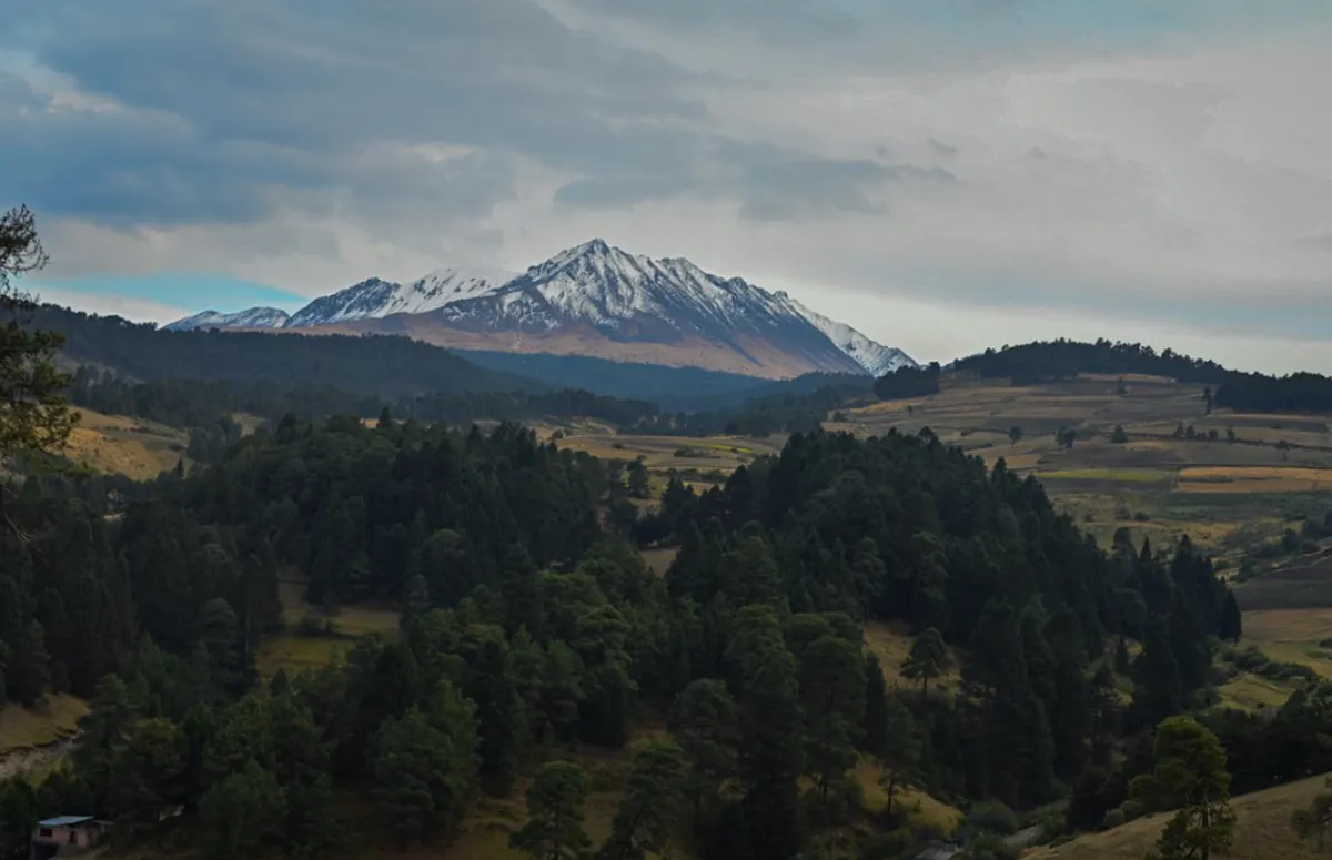 ¿Cómo obtener el apoyo de $30,000 por hectárea para restaurar bosques en Edomex?
