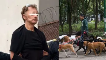 Hombre que envenenaba perros en Parque España es detenido