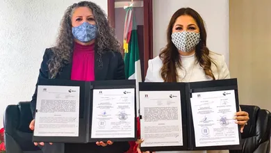 Tribunal Electrónico del Estado de México