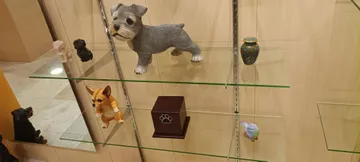 ¡Ya es oficial! Surge la primera funeraria para mascotas en el Estado de México