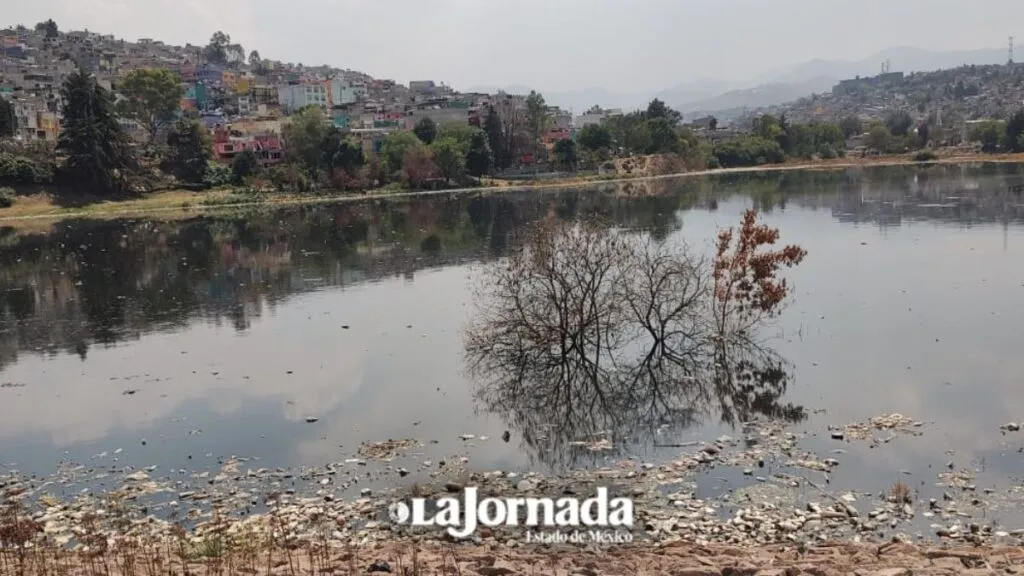 Naucalpan: Más de 3 mil personas beneficiadas por trabajos de desazolve en la Presa Los Cuartos