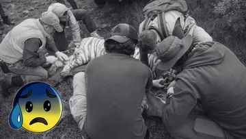 Matan a tigre de Bengala de Tepetlaoxtoc durante operativo de recuperación